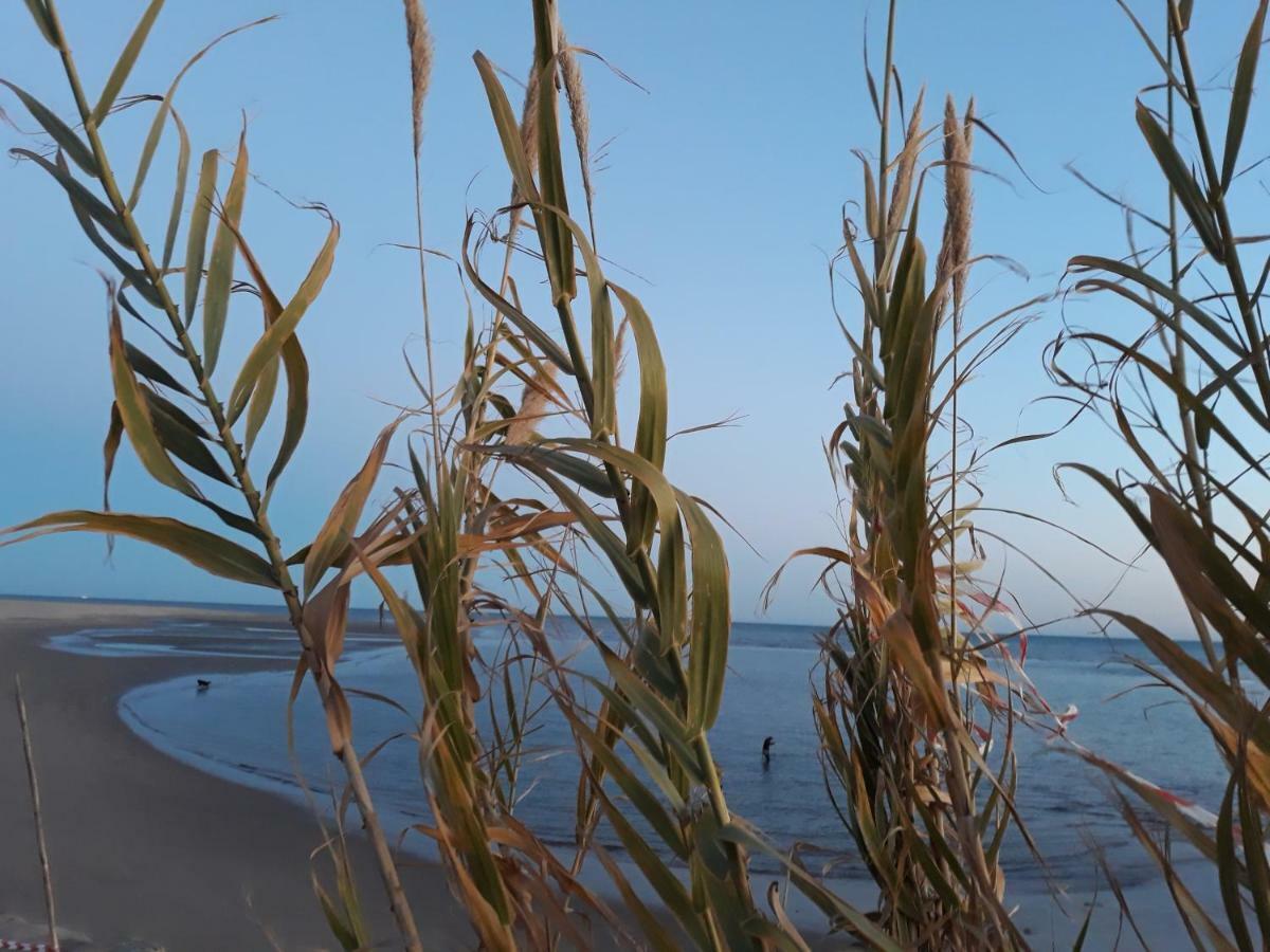 Rincon Canela Ayamonte Bagian luar foto